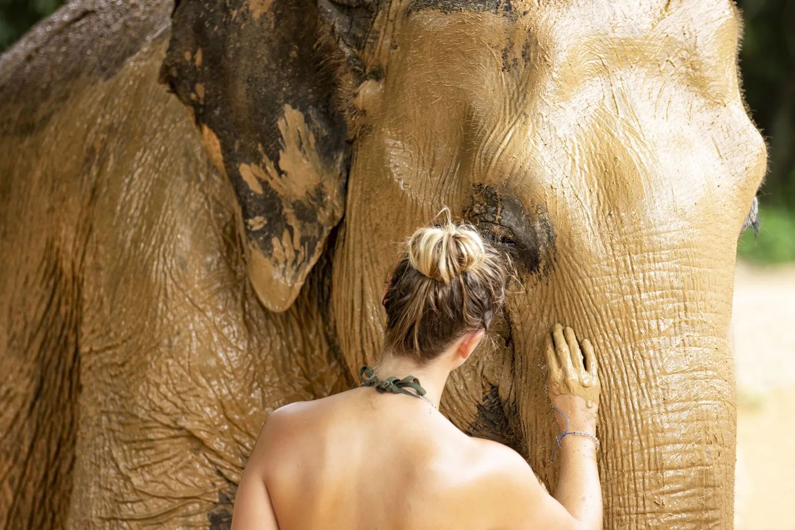 Samui Elephant Home