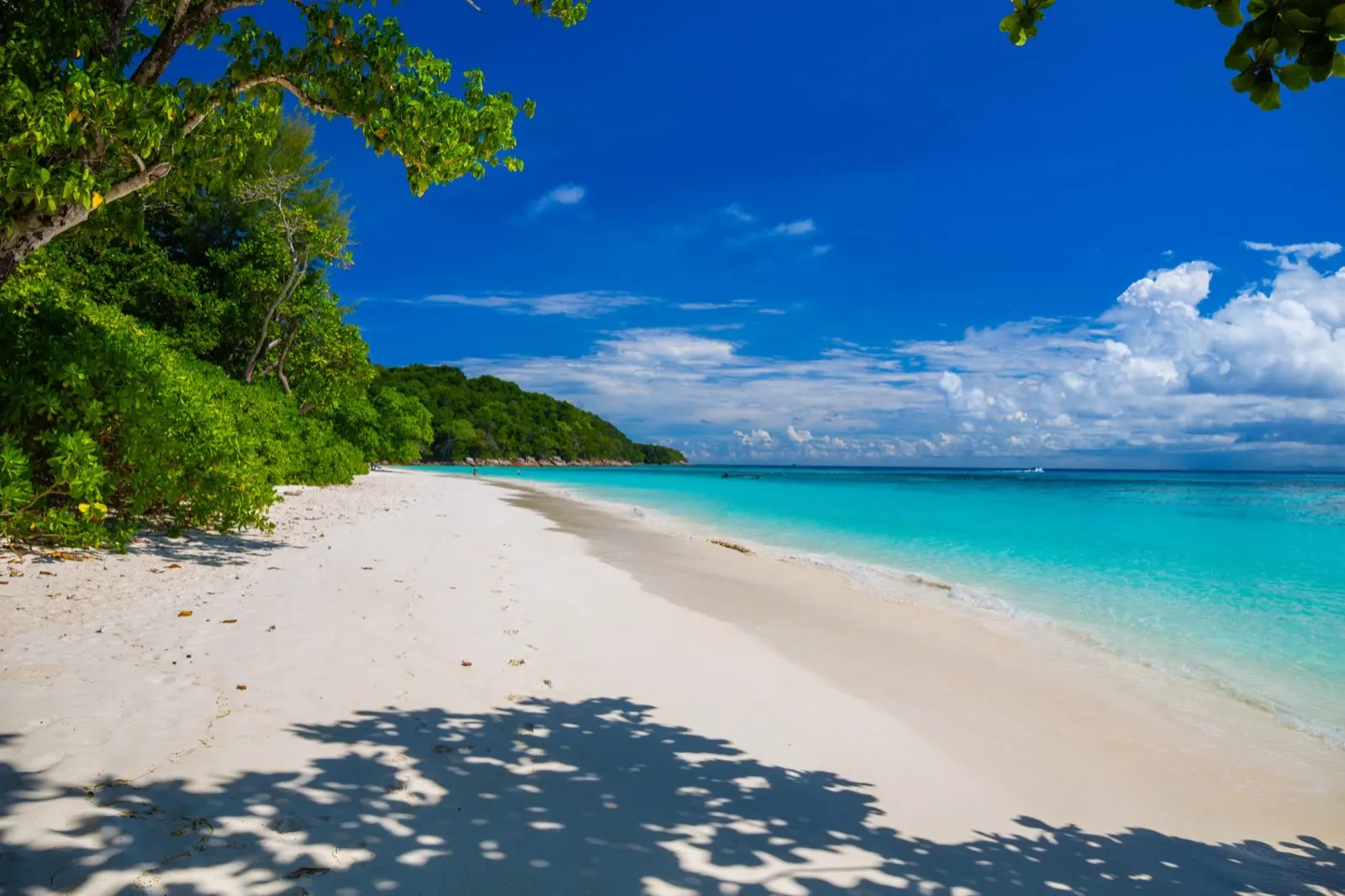 Similan-Inseln — Early Bird