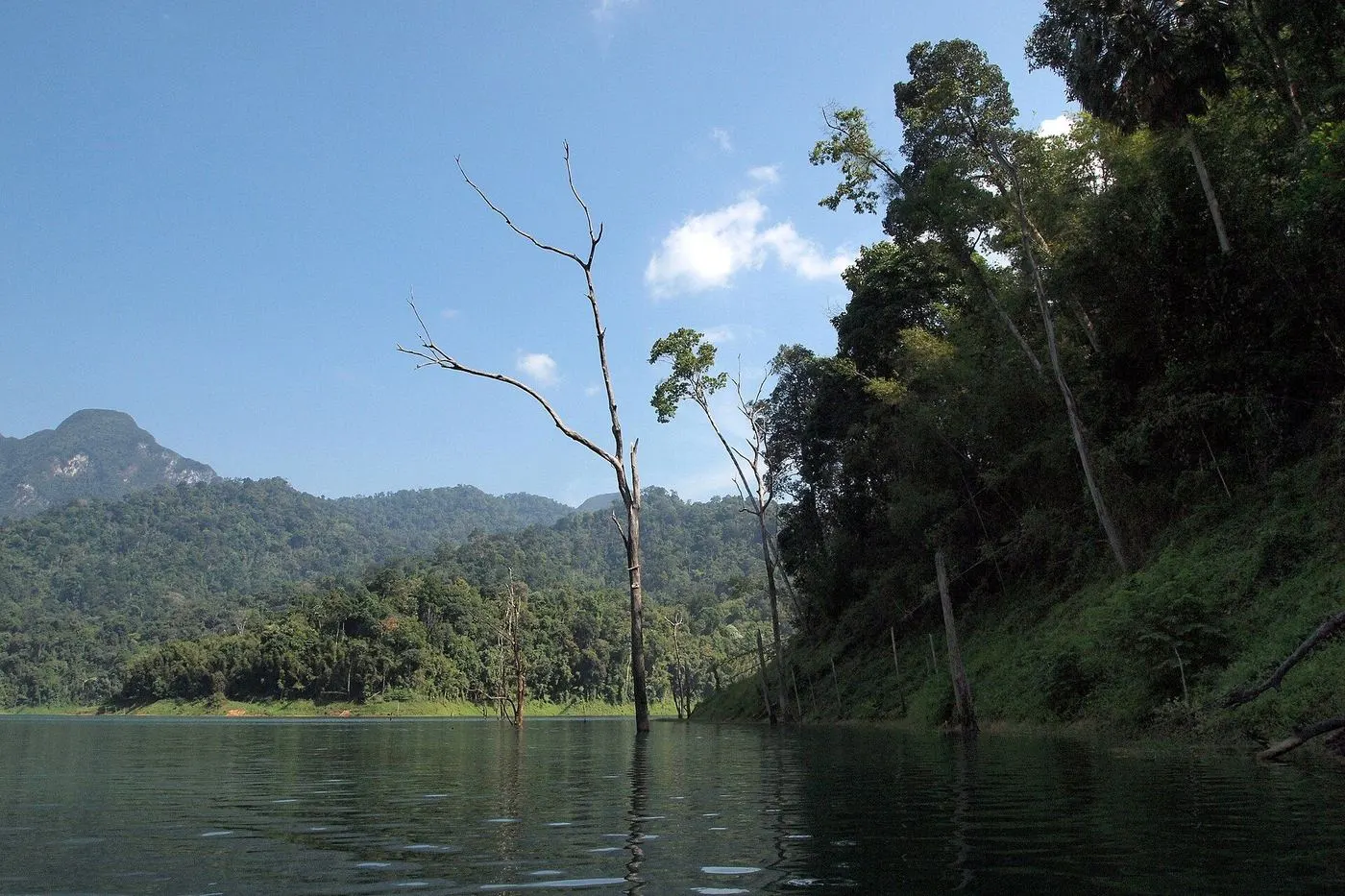 Lac Cheow Lan dans le parc national de Khao Sok : falaises de calcaire et longtail