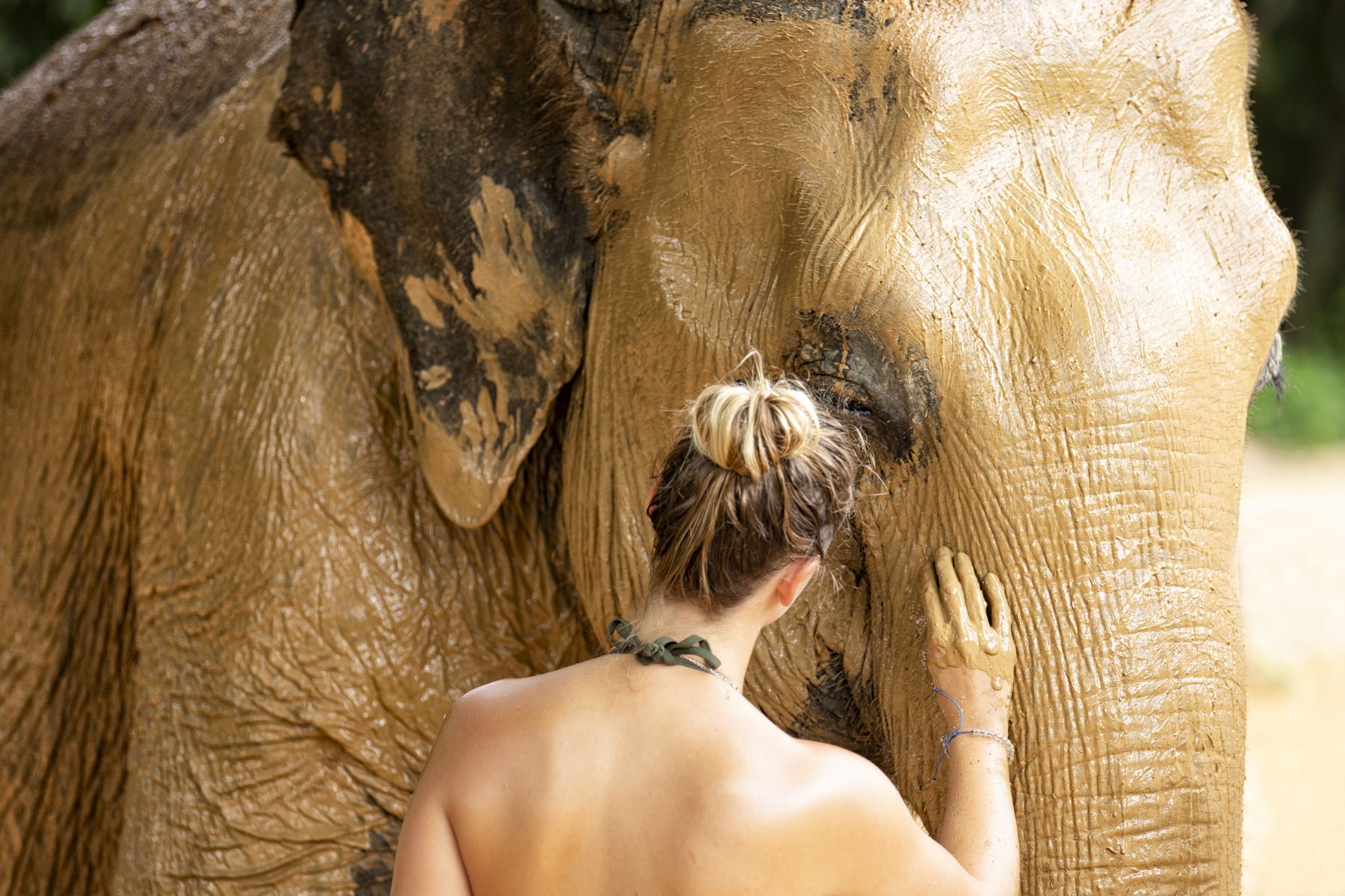 Samui Elephant Home