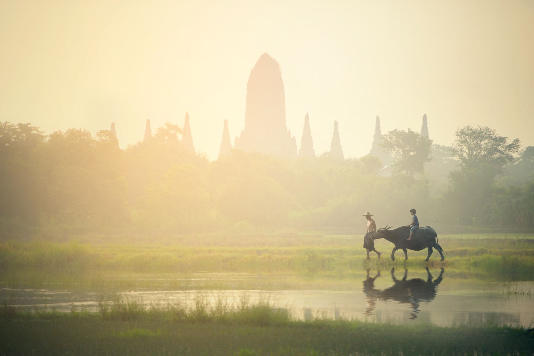 Bike tour Koh Yao Noi — 30 km through rice paddies
