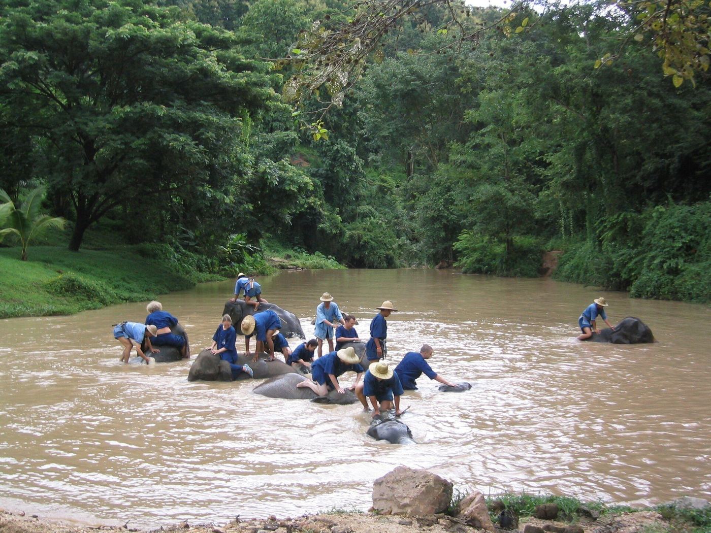 Khao Sok National Park Eco Tour