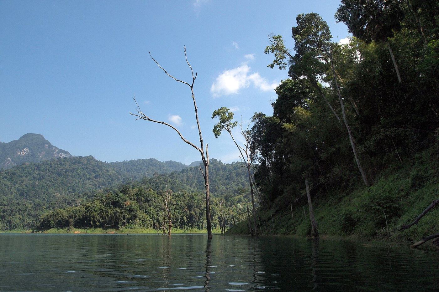 Highlights of Khao Sok