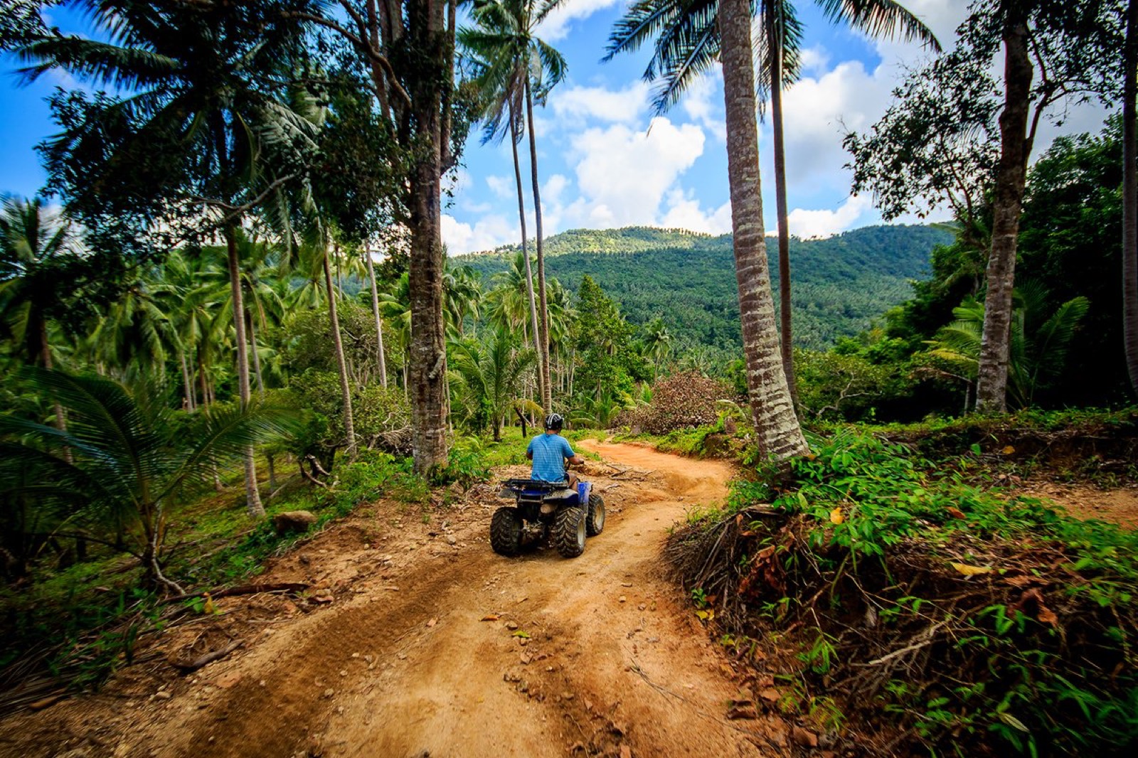 2-Hour Quad Jungle Tour
