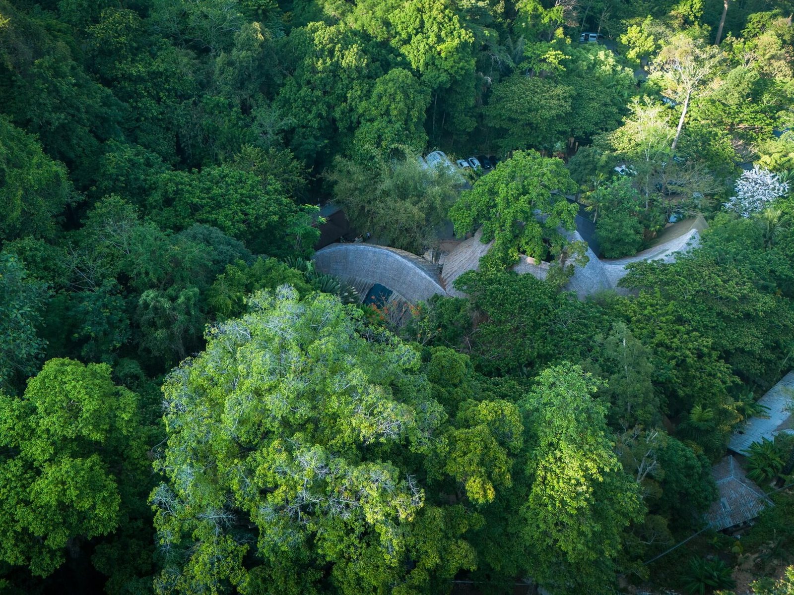Hanuman World Zipline